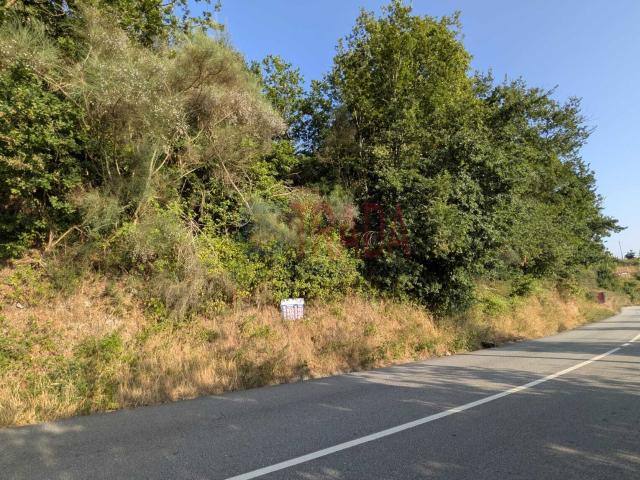 Venda 2 Terrenos Rústicos | 4.810 m² | Bons Acessos | Barros – Vila Verde