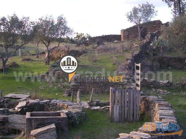 Venda Terreno Maxiais | 26083897499