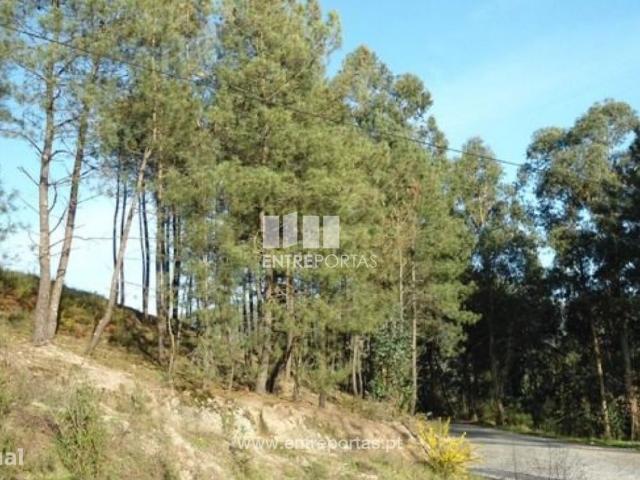Venda Terreno, Banho e Carvalhosa, Marco de Canaveses