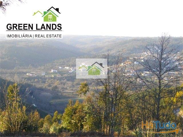 Venda Terreno cerca de 6000m2 | 26060259371