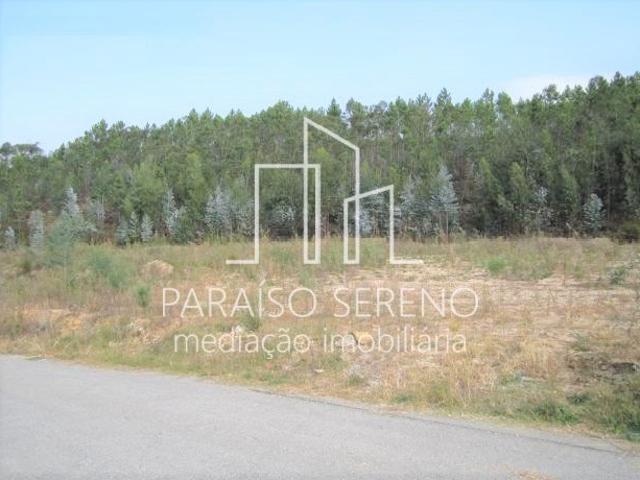 Venda Terreno