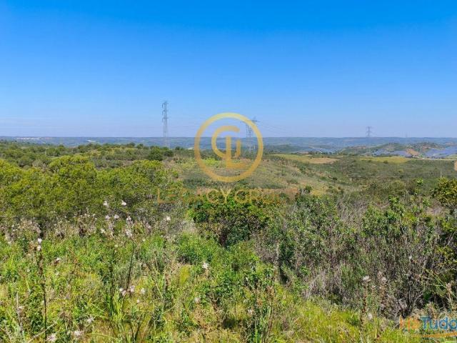 Venda conjunta de 2 terrenos com quase 5 hectares de área total Vaqueiros, Alcoutim | 26084065633