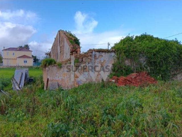 Venda de Terreno misto e ruína com 9.800m2, no centro da Vila da Lagoa, Santo Isidoro