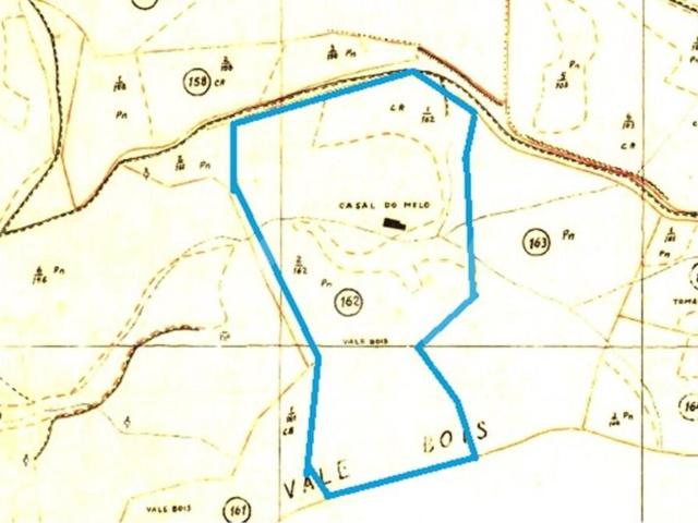 Venda de terreno agrícola com 3 hectares em Jerumelo, Malveira