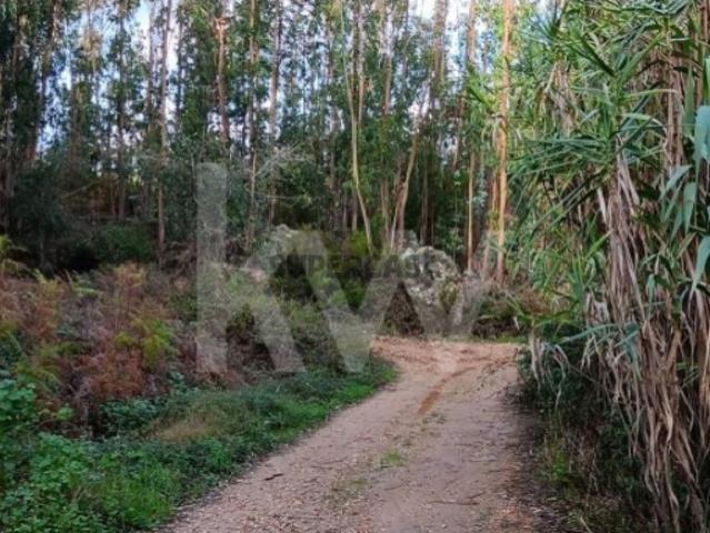 Venda de terreno rústico com 1.062m2 em Alcainça, Mafra