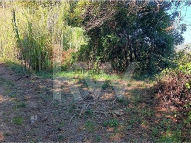 Venda de Terreno rústico com 8.124m2 na Cachouça, Barreiralva, Mafra
