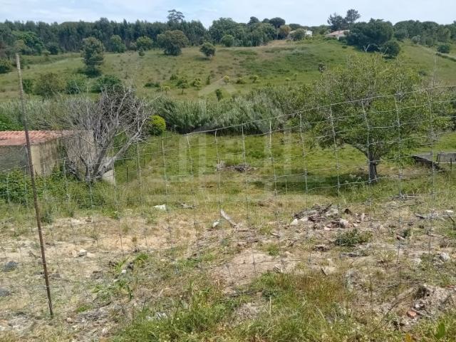 Venda de Dois Terrenos Agrícolas em Zona Natural Privilegiada Sesimbra