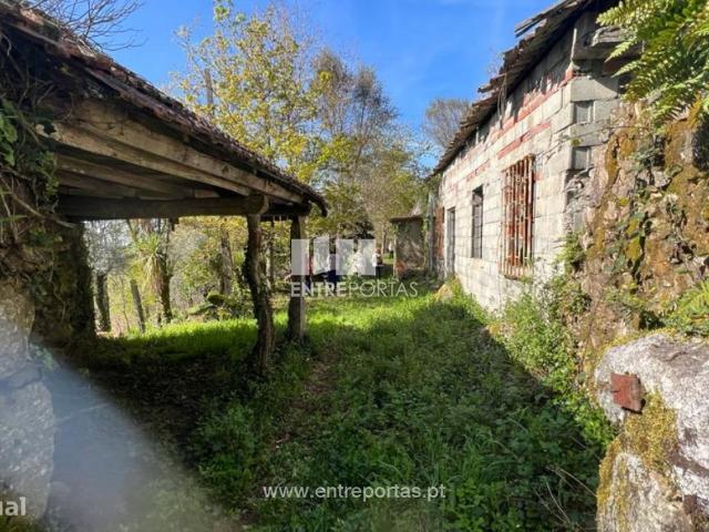 Venda de quintinha vedada com runa, Anais, Ponte de Lima