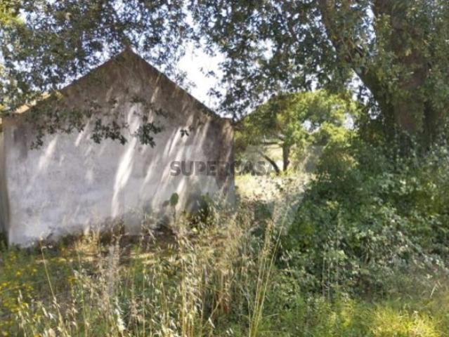 Venda de ruína e terreno com 2 hectares, em Jerumelo, Malveira