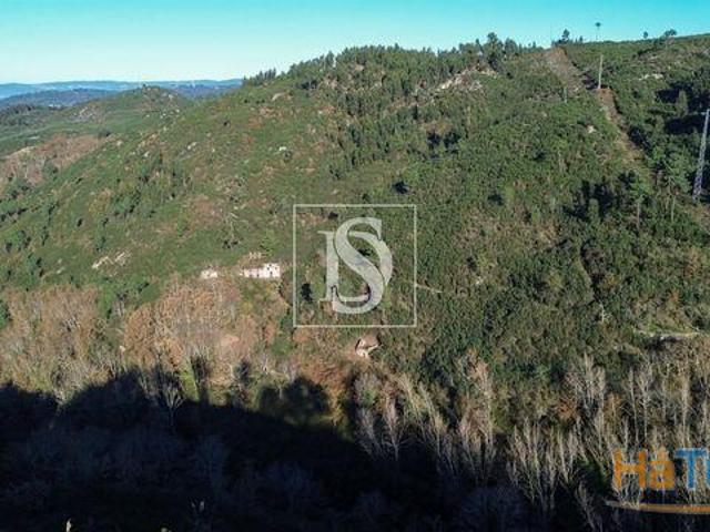 Venda Quinta | 26064081692