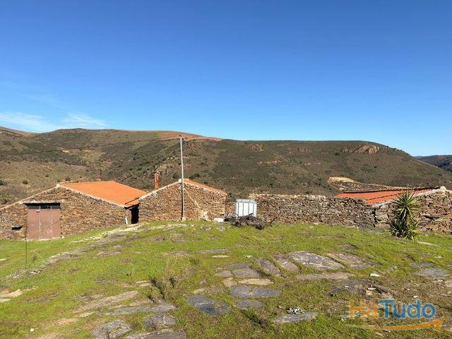 Venda Quinta | 26094081174