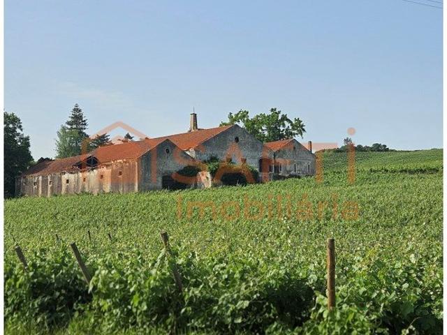 Venda 'Quinta com Excelente Potencial em Aldeia Galega da. 0m² Aldeia Galega da Merceana e Aldeia Gavinha