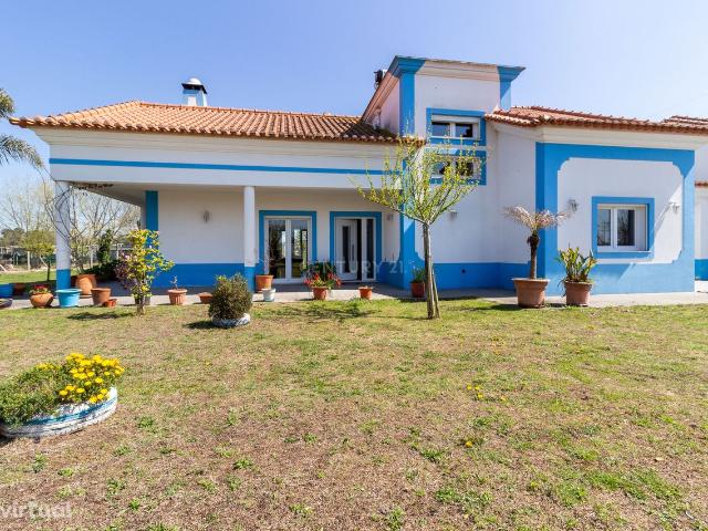 Vende 2 Moradias T2+1 19.000M2 de terreno Moita
