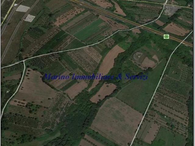 Terreno Agricolo in vendita a Calvi Risorta