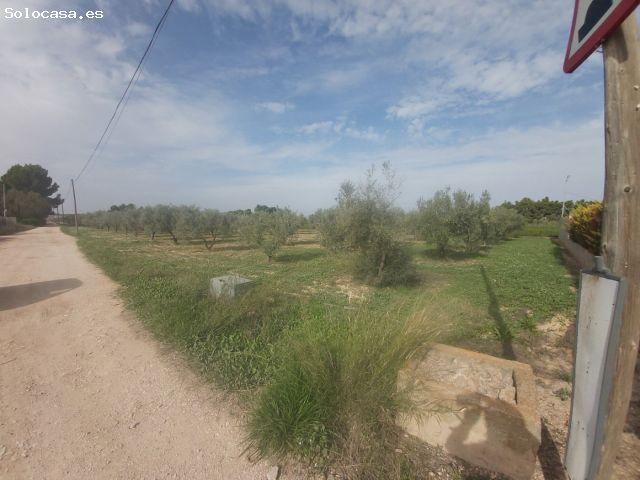 VENDE TERRENO EN VILLENA