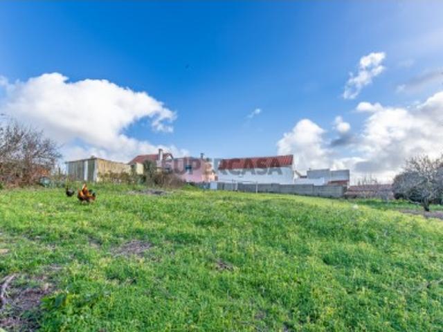Vende Terreno Ericeira 15 km, A Casa das Casas