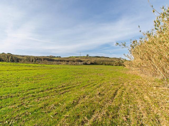 Vende Terreno Ericeira 13 km, A Casa das Casas