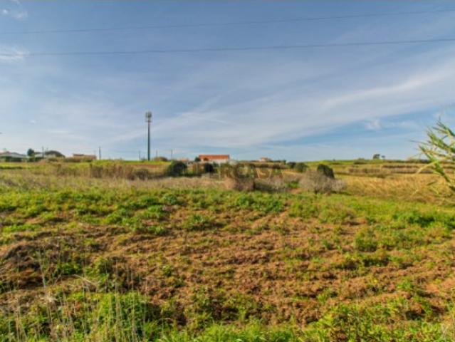 Vende Terreno Ericeira 13 km, A Casa das Casas
