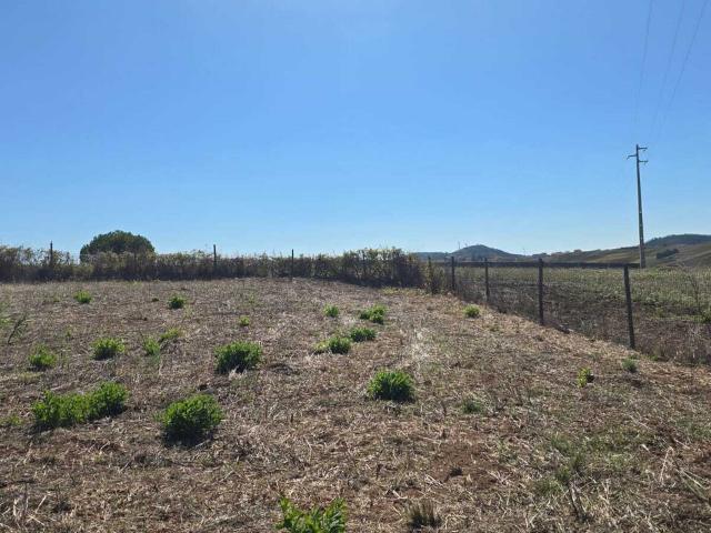 Vende Terreno Ericeira 20 Km, A Casa das Casas