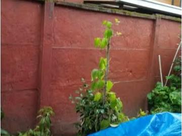 VENDE casa en Villa Las Azaleas, Padre Las Casas | 3 Dormitorios por 90000. 00 en Padre las Casas
