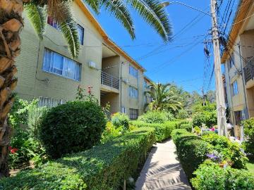 VENDE DEPTO CERCANO A PAPELERA Y CASAS VIEJAS