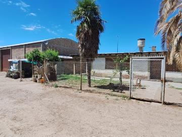 Vende finca con viñedos en ugarteche