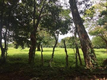 VENDE FINCA EN LOS ANASTACIOS CHIRIQUÍ