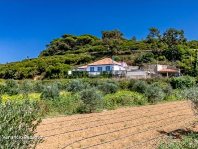 Vende Moradia T3 Ericeira 3 Km