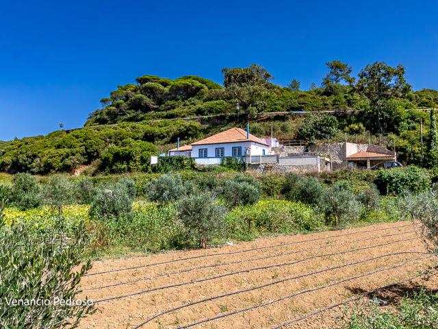 Vende Moradia T3 Ericeira 3 Km