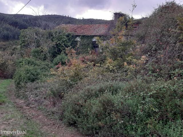 Vende Quinta em Paraso Castelo Paiva