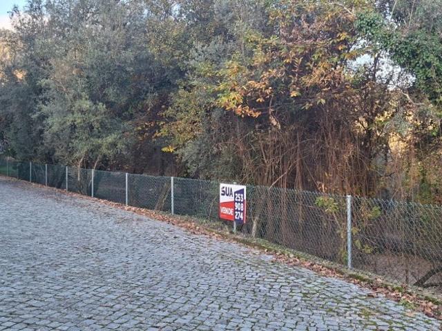 Vende se Terreno Agrícola, Paredes Secas Amares