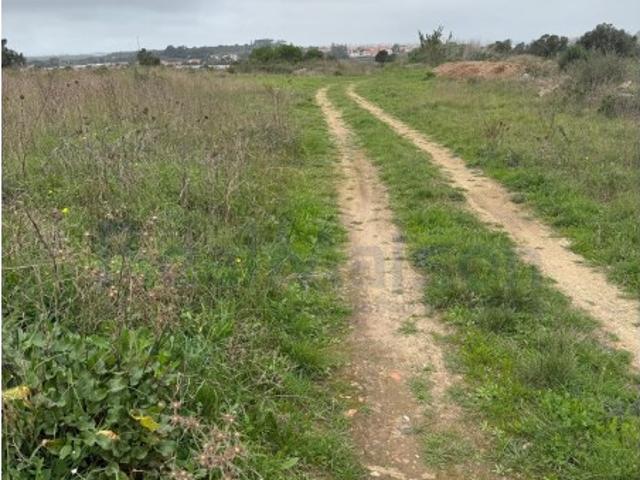 Vende se Terreno com mais de 2ha na Terrugem