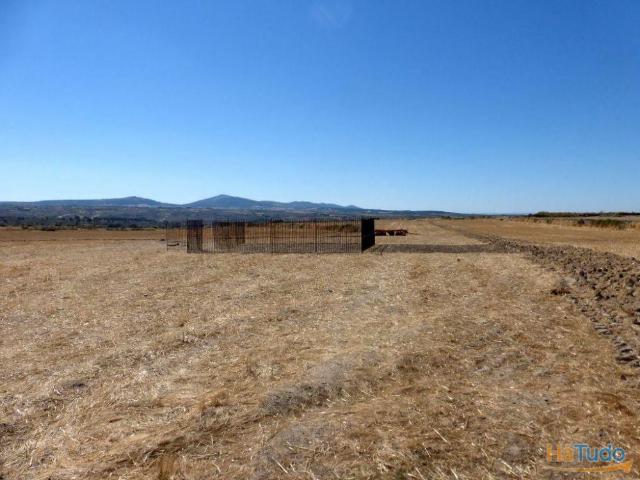 Vende se terreno de cultivo com 120.000 m2 em Figueira de Castelo Rodrigo, Portugal | 26080370797