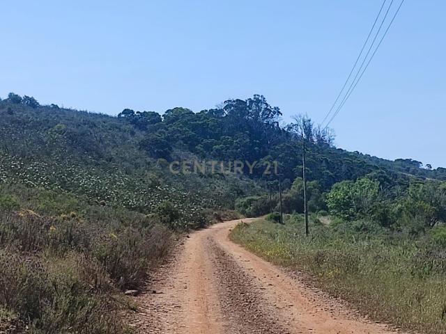 Vende se terreno Rústico, Barão de São Miguel, Vila do Bispo