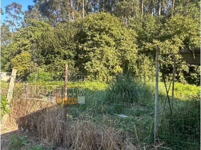 Vende se Terreno Urbano São Felix da Marinha