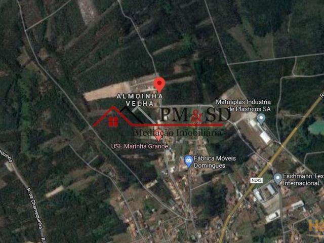Vende se terreno 18000 m2 Marinha Grande | 26083327073