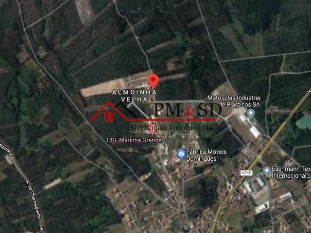 Vende se terreno 18000 m2 Marinha Grande