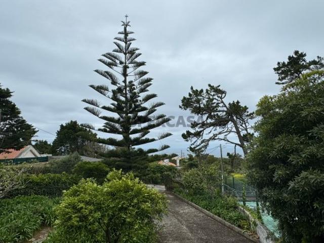 Vende se excelente moradia com vista mar em Sintra
