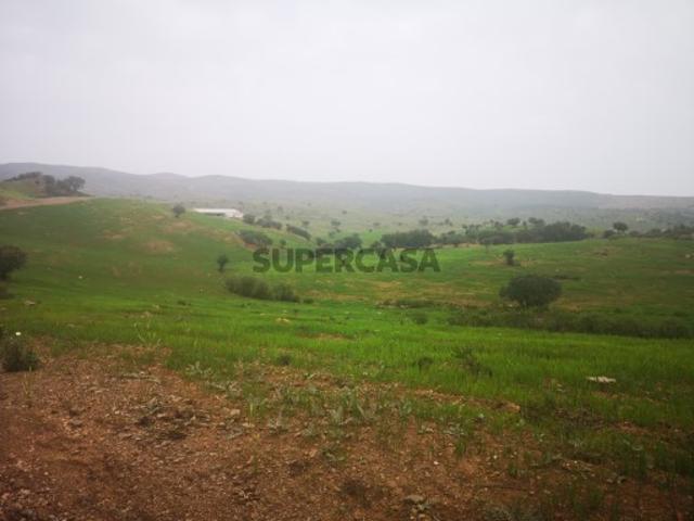 Vende se herdade no Baixo Alentejo