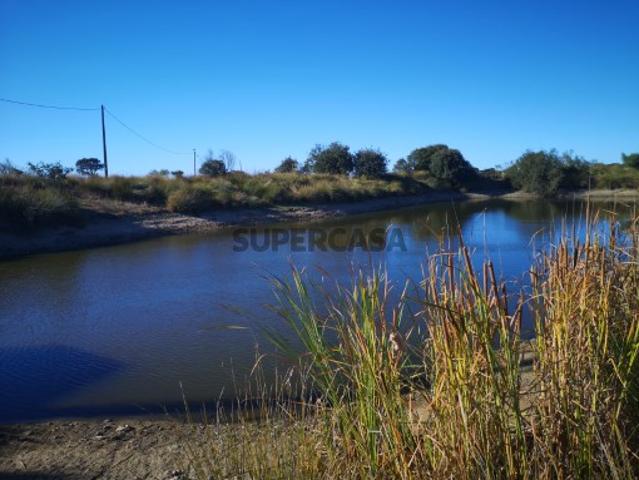 Vende se herdade em pleno funcionamento no Alentejo