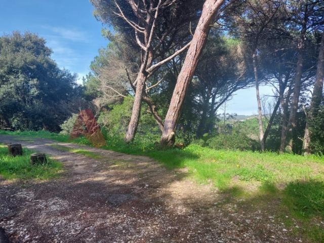 Vende se lote de terreno 4120m2 em Sintra