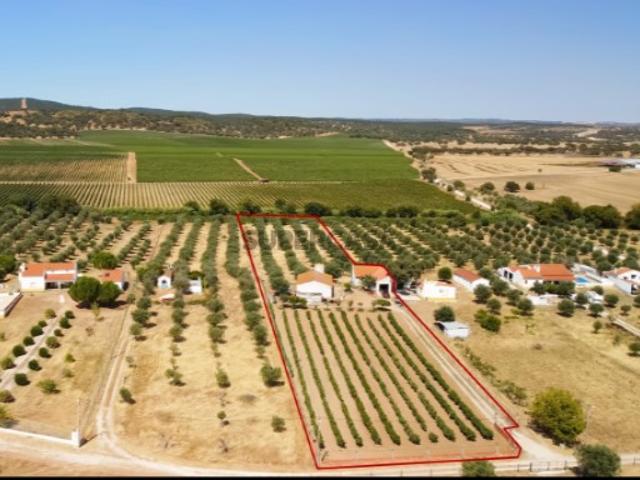 Vende se Monte Alentejano Monte da Azinheira com 9100m2, junto ao Redondo