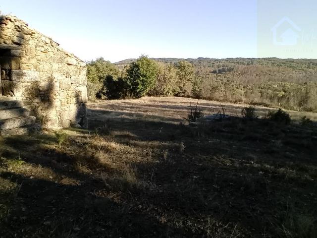 Vende se Quinta com casa de arrumos