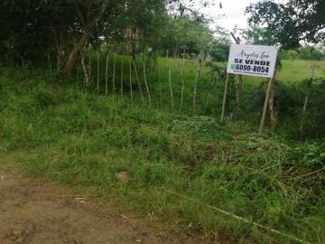 VENDEMOS 4 HECTAREAS, LA PITA, CAPIRA PARA GANADERIA