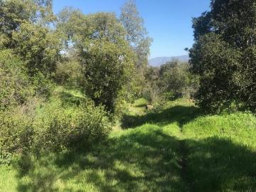 Vendemos terreno amplio terreno en San Fernando, sector Los Lingues