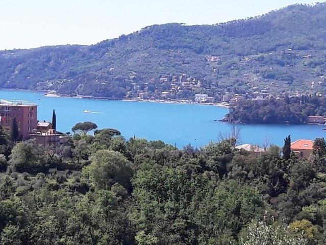 Vendesi attico a Rapallo, Parco Casale Castello dei Sogni