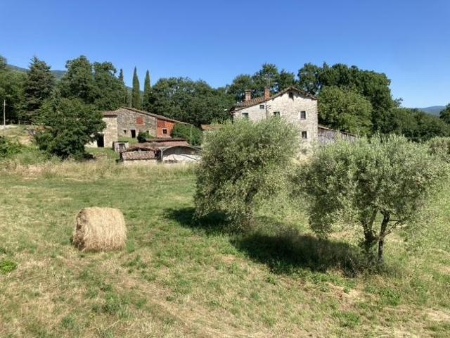 Vendesi terreno agricolo a Caprese Michelangelo