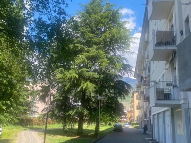 Vendesi appartamento a Sondrio