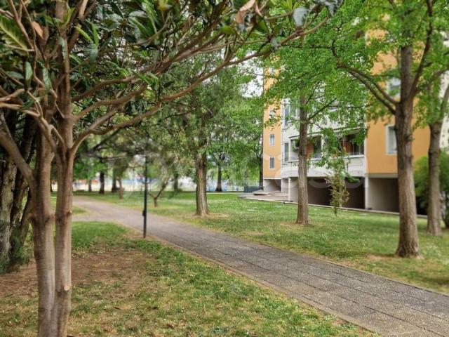 Vendesi appartamento a Verona, Borgo Venezia