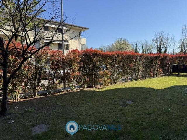 Vendesi appartamento a Vigodarzere